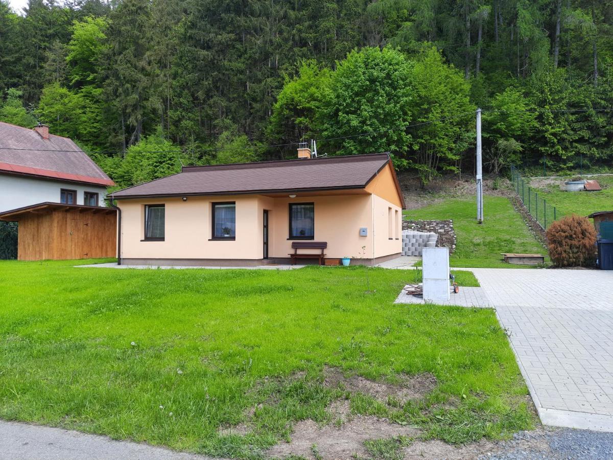 Lisny 105 Cely Novy Dum Se Zahradou U Jizery A Cyklo-Stezky New House By Jizera River And Bicycle Path Zelezny Brod Bagian luar foto